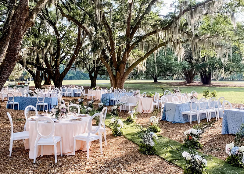 Angel Oak Canopy at Hewitt Oaks decorated in sophisticated style for the Derby Day Meets Bridgerton Soirée