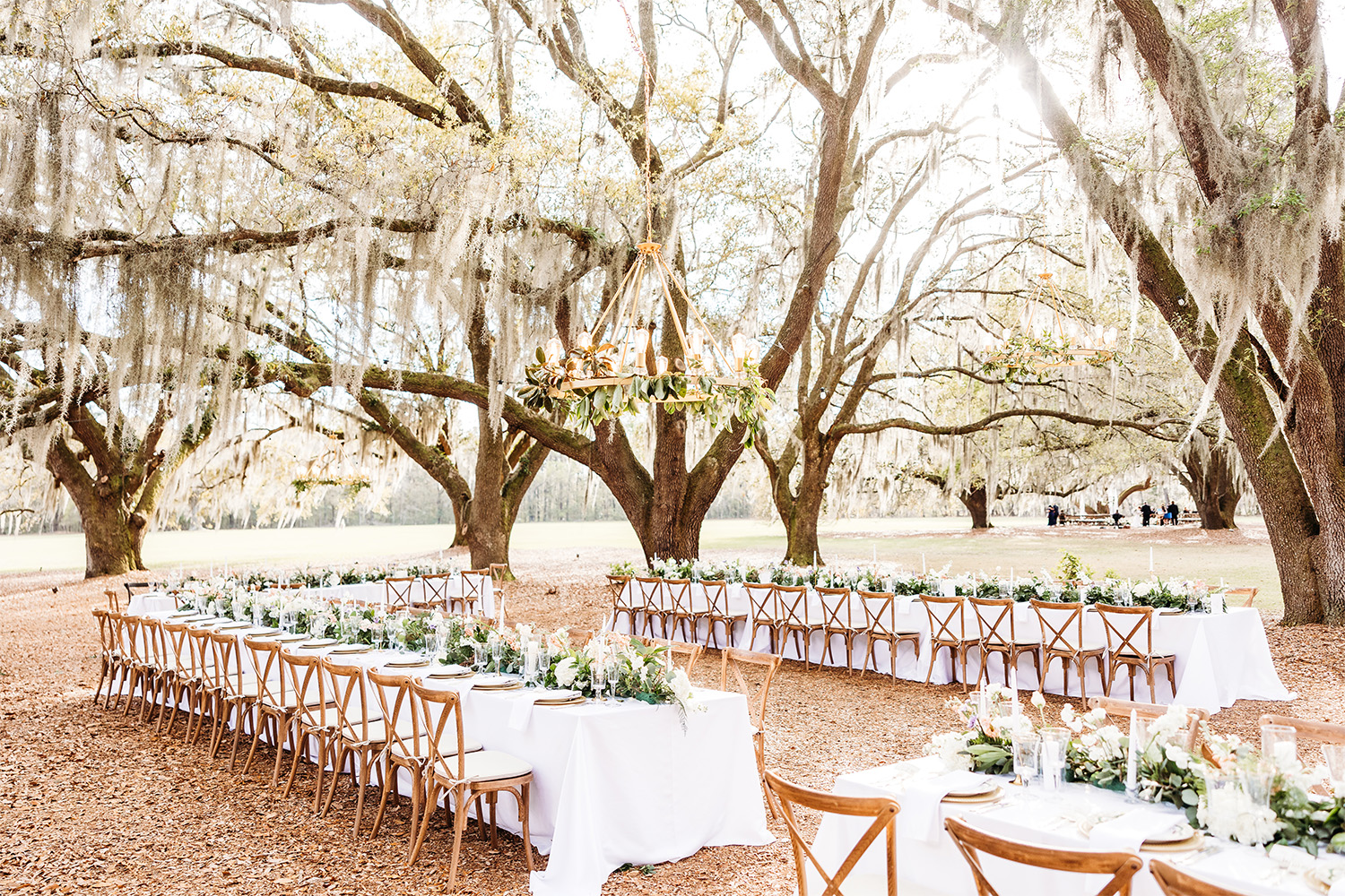 Outdoor venue with oak trees