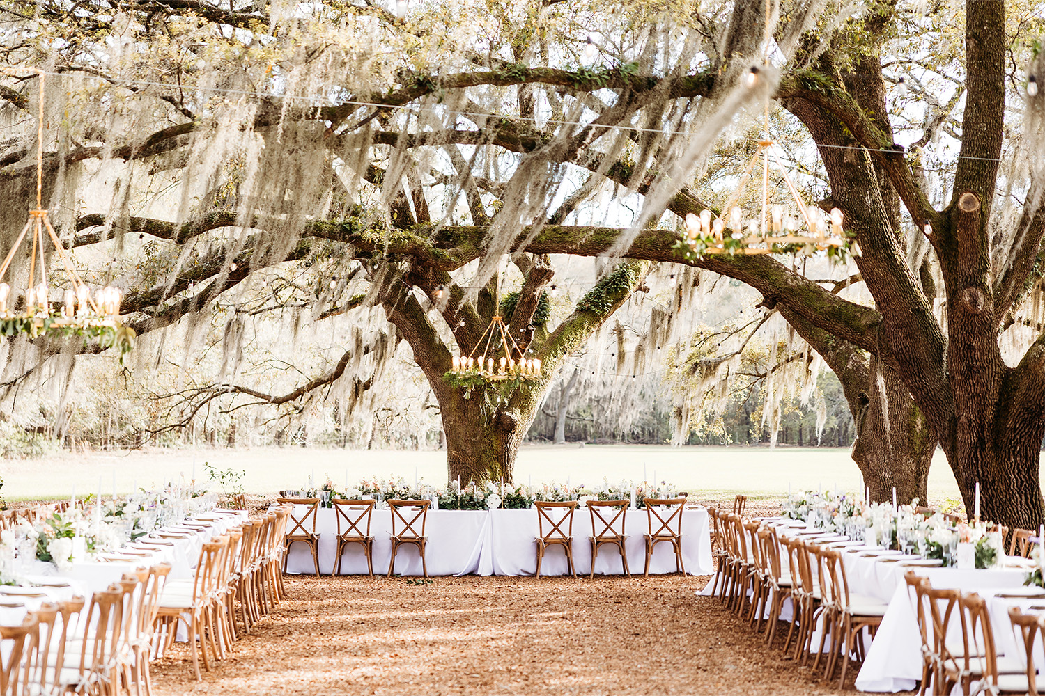 Outdoor venue with oak trees