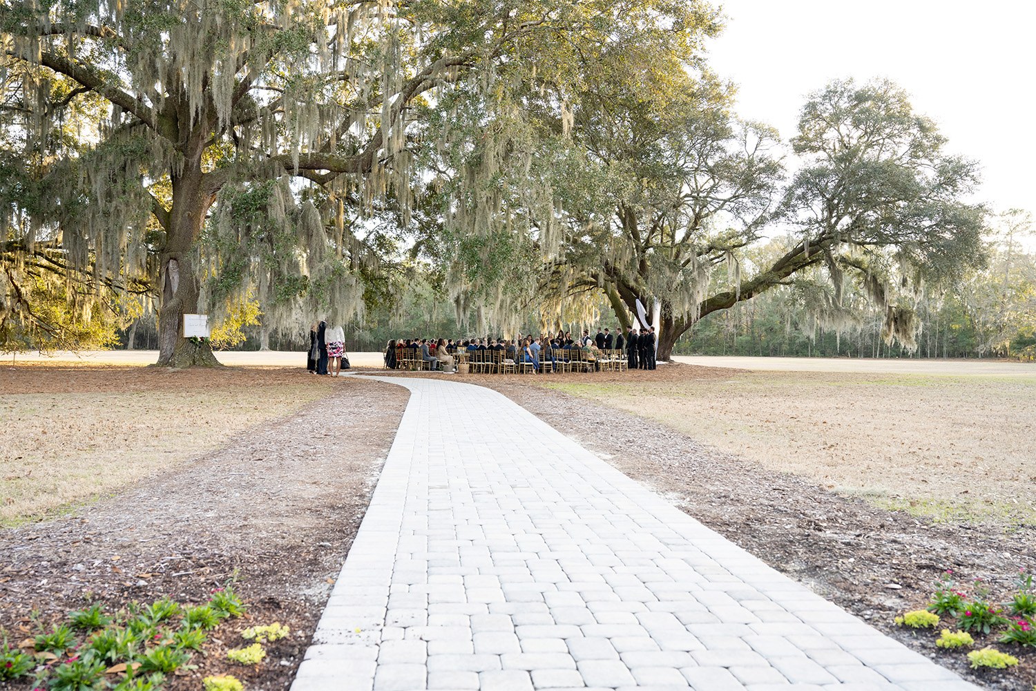 Wide angle of a outdoor wedding with huge oak trees