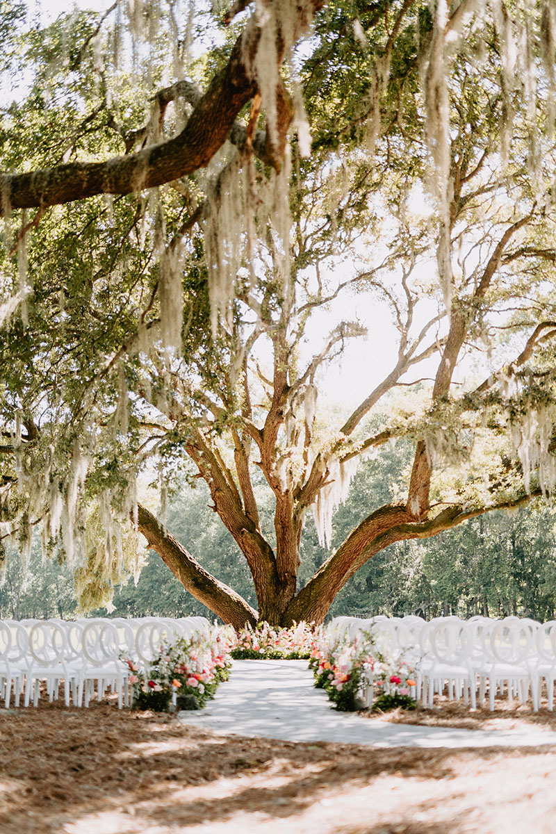 Lowcountry Luxury wedding ceremony at the Promise Tree