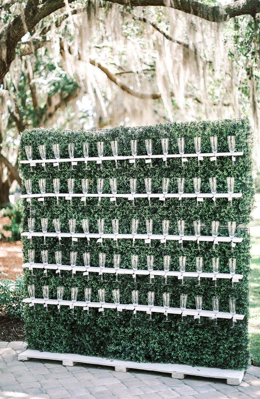Boxwood Champagne Wall with rows of champagne glasses displayed