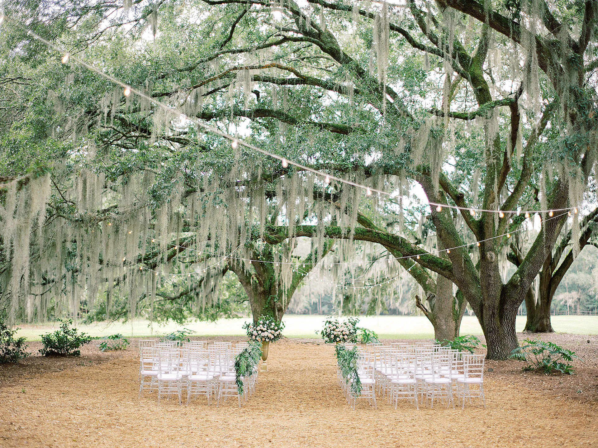 Angel Oak Canopy set for an elegant wedding