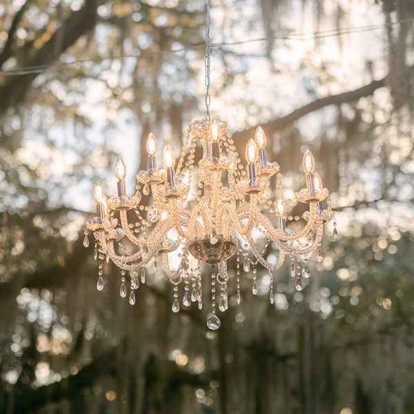 A close-up view of a chandelier hanging gracefully from an oak tree.